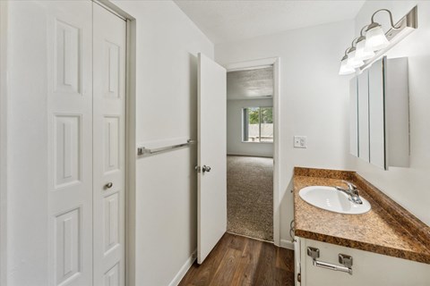 Bathroom with Vinyl Plank Flooring