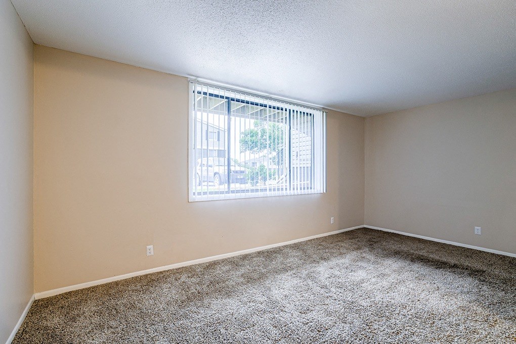 an empty room with carpet and a window