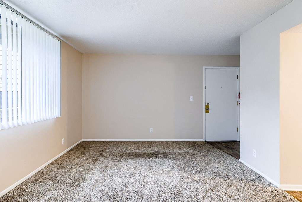 an empty room with carpet and a door to a closet