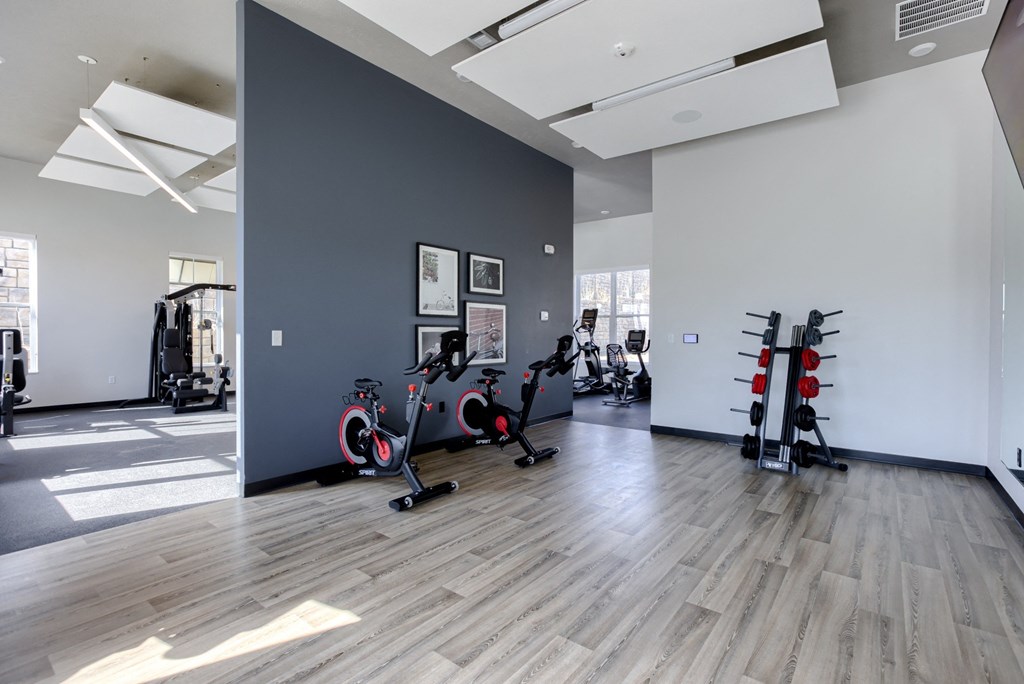 24/7 Gym With Strength and Cardio Equipment