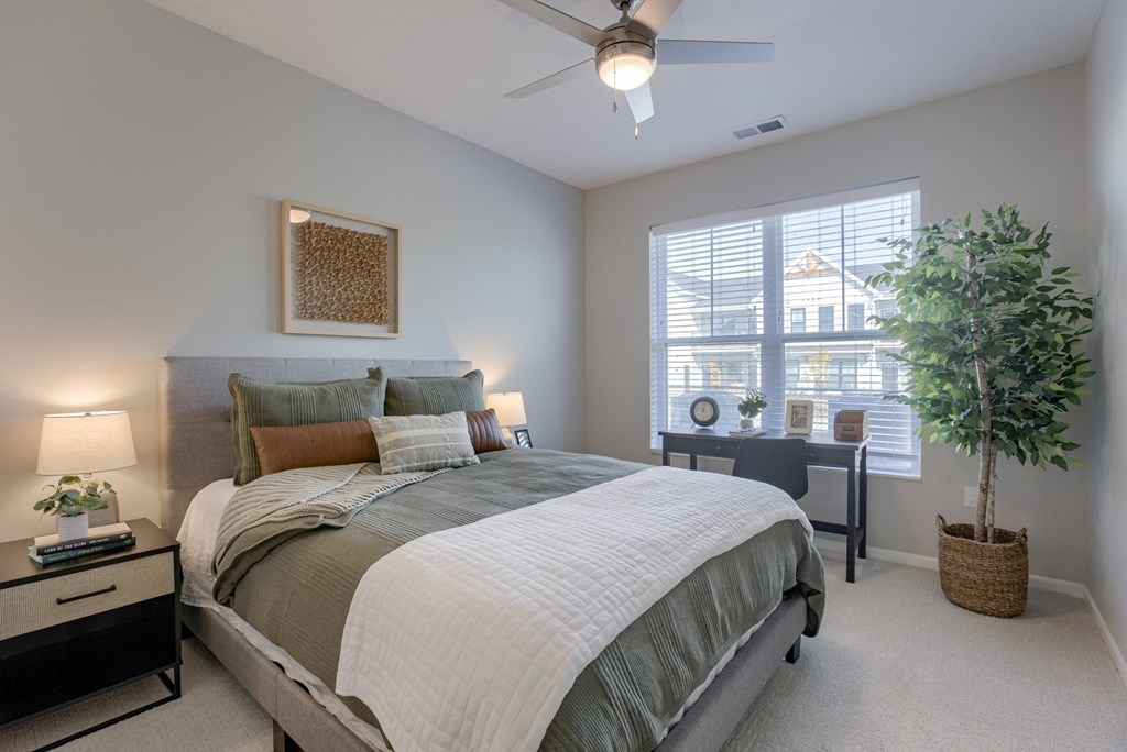 Bedroom with Plush Carpeting
