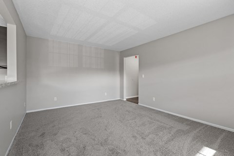 Spacious Living Area with Carpet