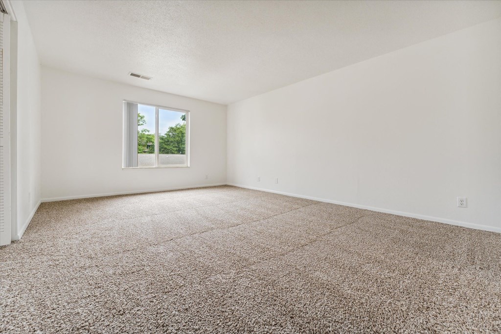 Spacious Living Area with Natural Lighting
