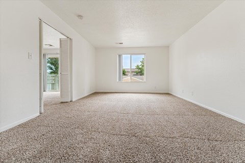 Spacious Living Area