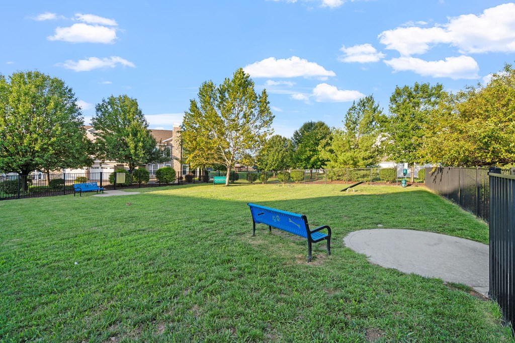 Dog Park with Equipment
