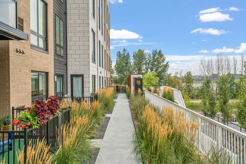 Walkway with Lush Greenery