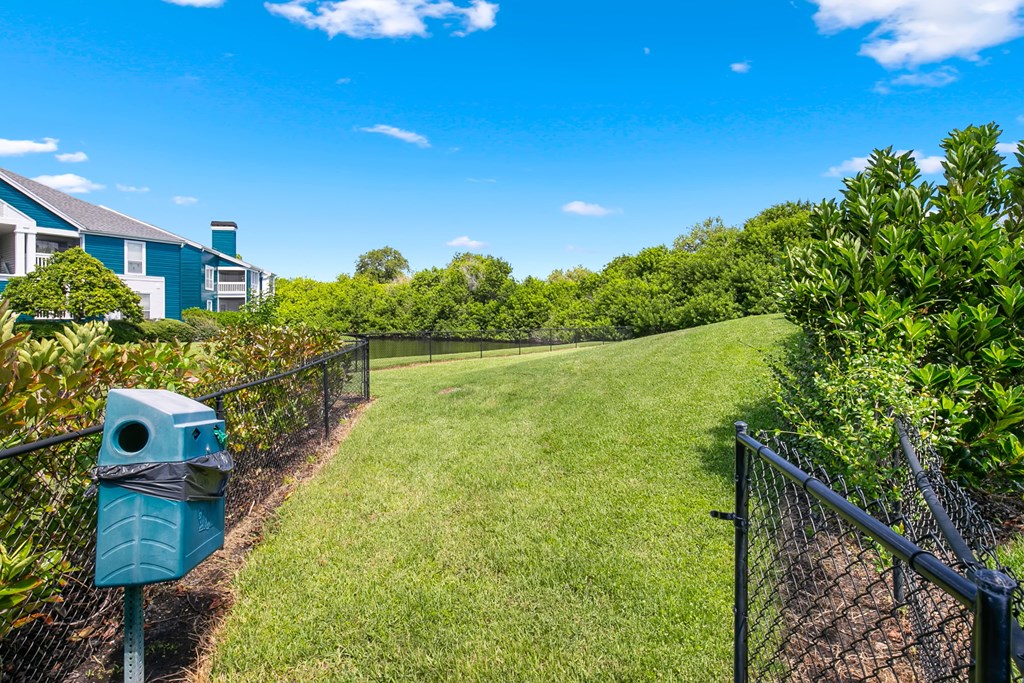 Lush 1 Acre Dog Park