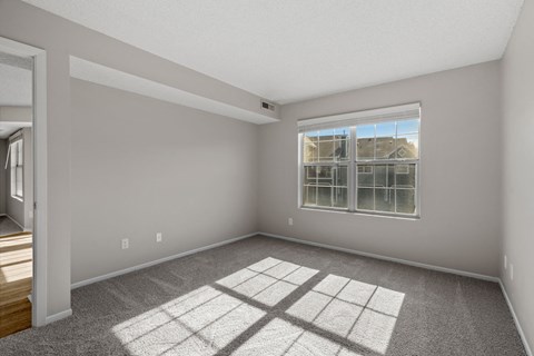 Bedroom with Plush Carpeting