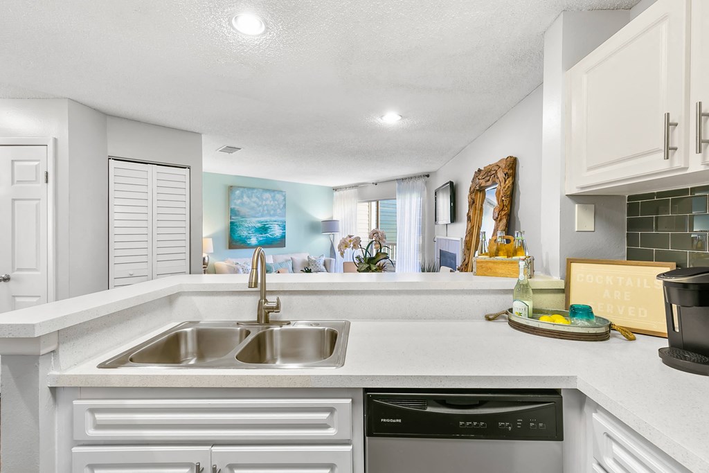 Stainless Steel Dishwasher