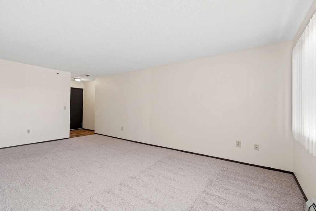 Living Room with Plush Carpeting