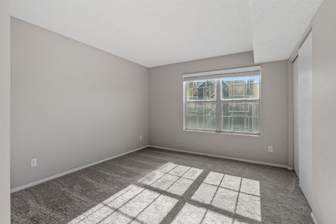 Bedroom with Plush Carpeting