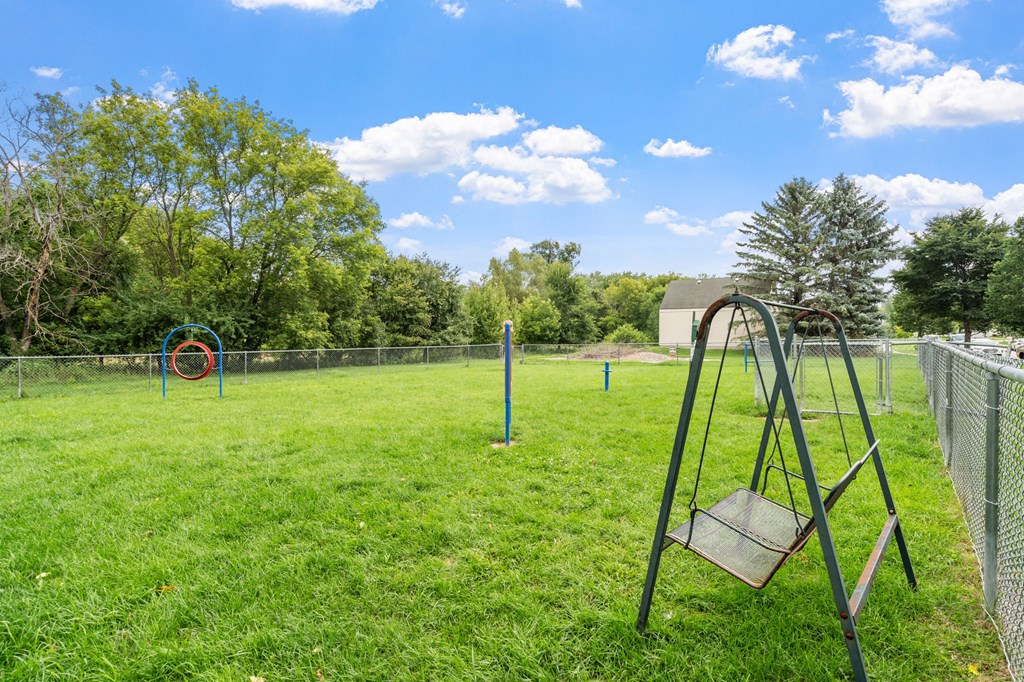 Dog Park with Swing