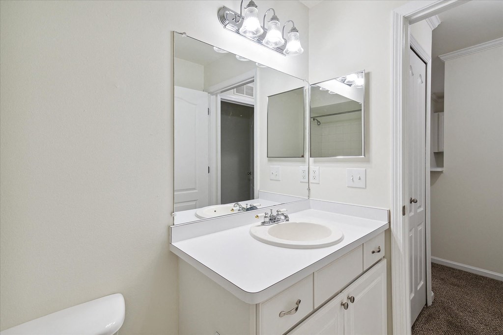 Bathroom sink and mirror