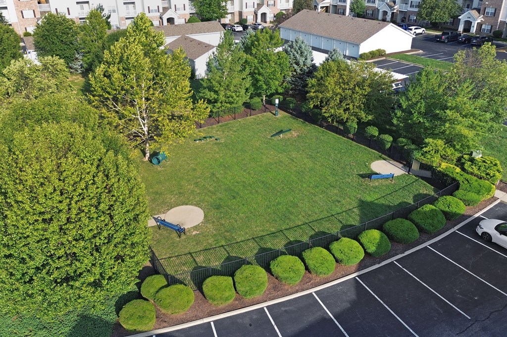 Aerial of Dog Park