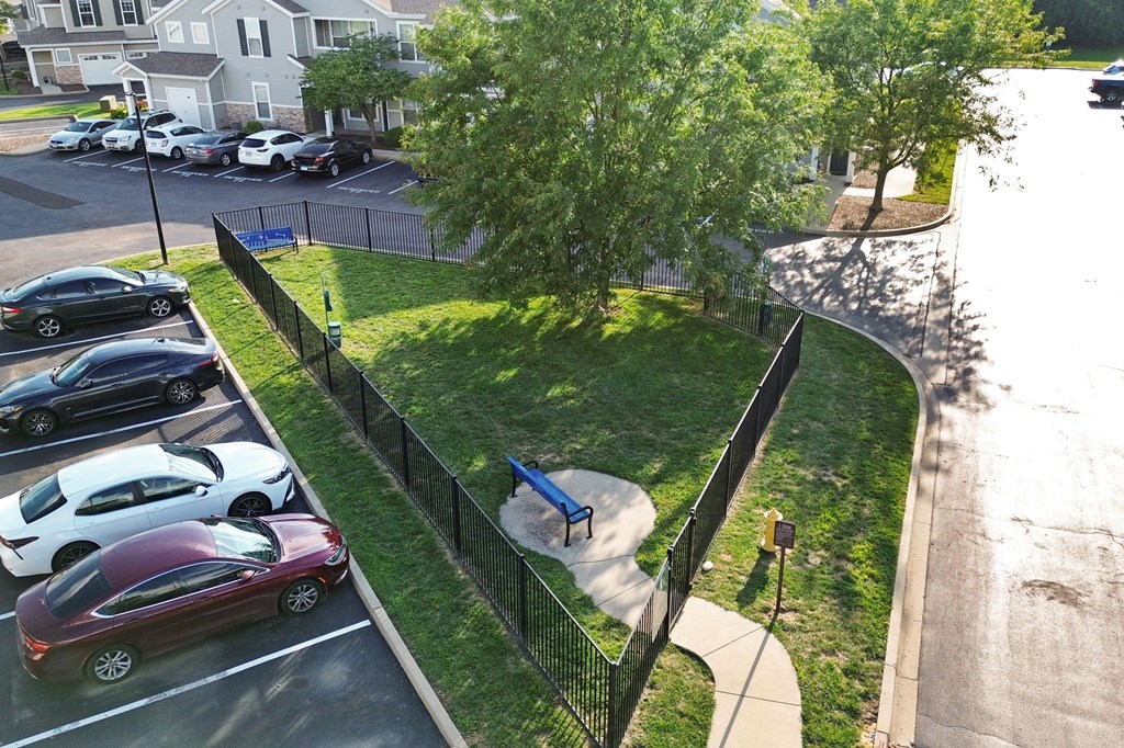 Aerial View of Dog Park