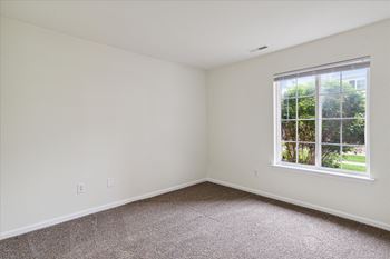 Bedroom with Plush Carpeting
