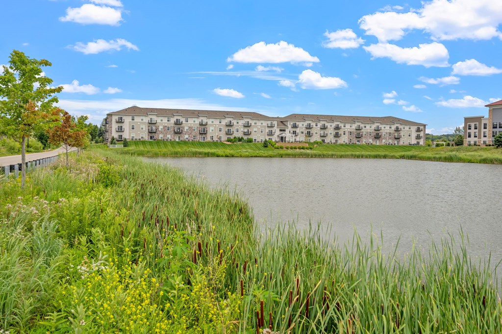 Community Pond Next To Preserve