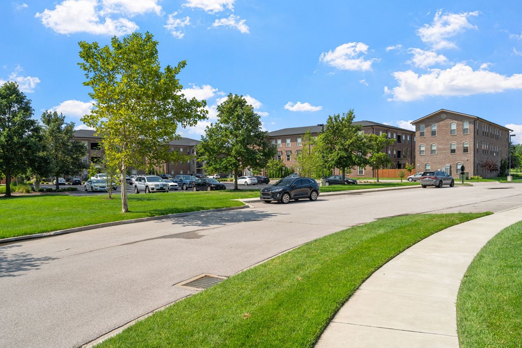 Lush Greenery at Synergy at the Meadows