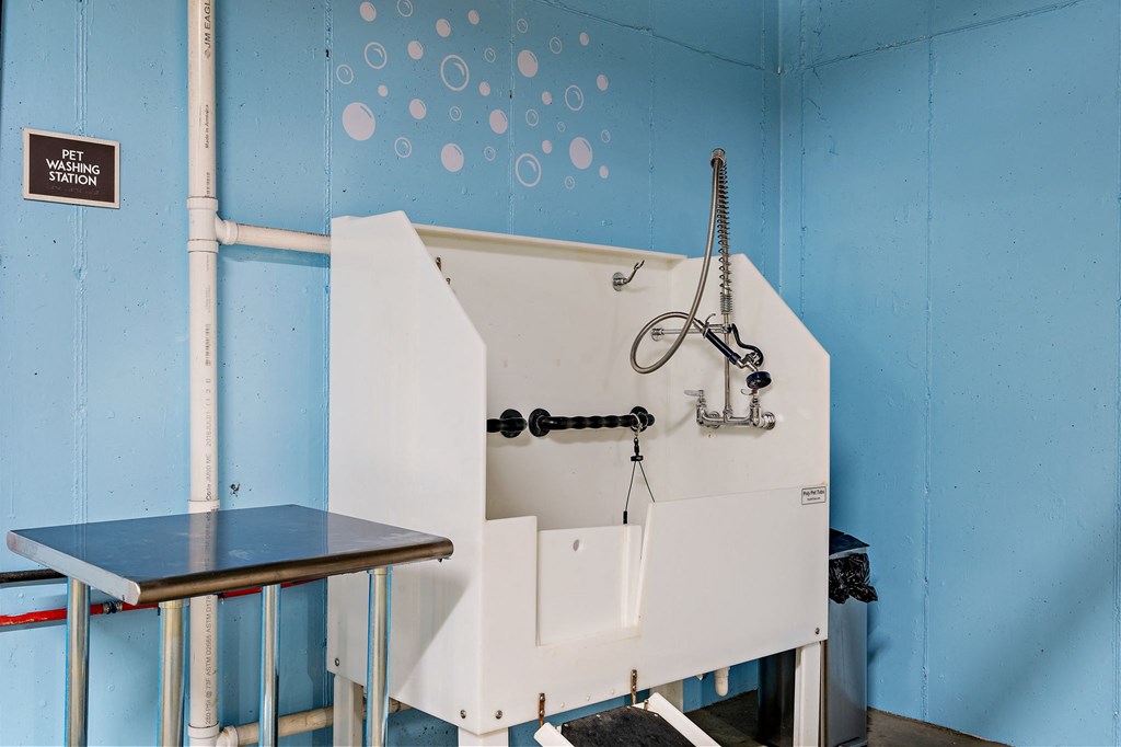 Pet Wash Station