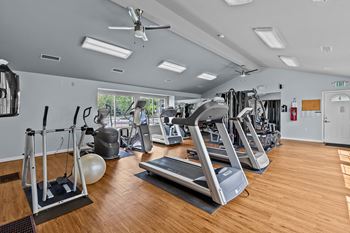 A gym with treadmills, weights, and exercise balls.