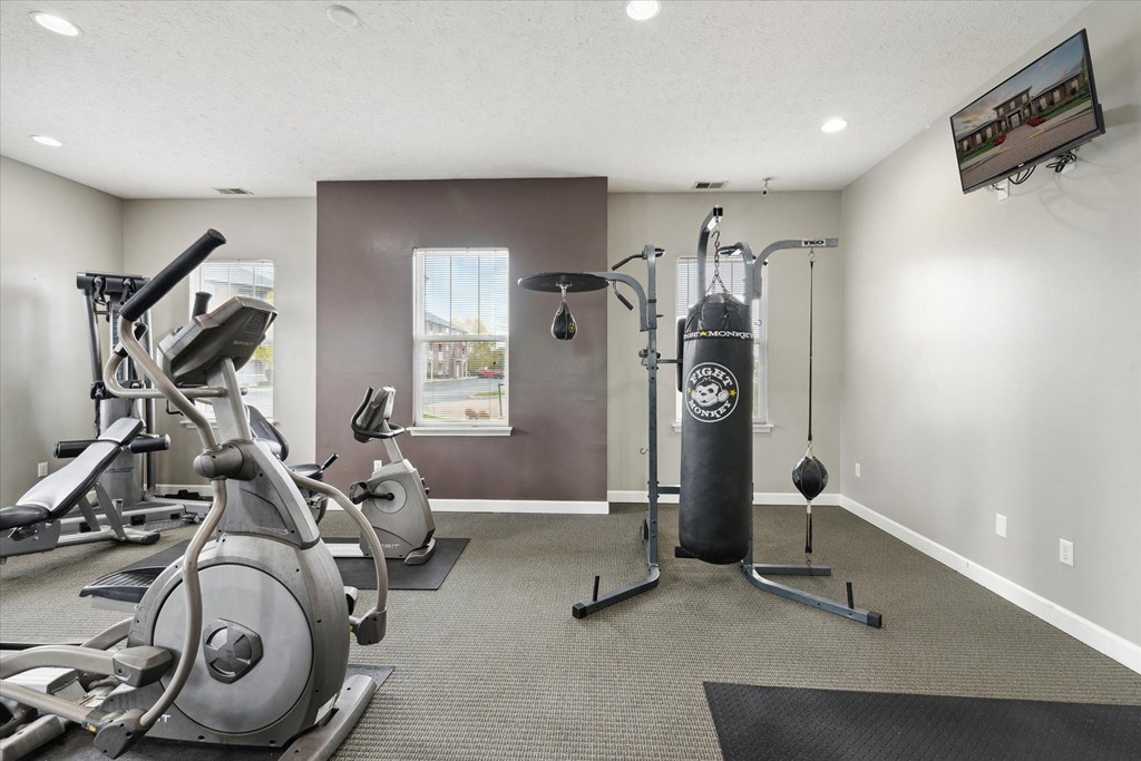 Fitness Center with Punching Bag