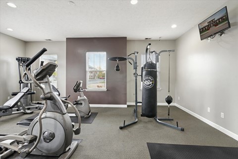 Fitness Center with Punching Bag