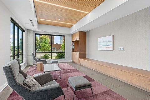 A modern living room with a grey chair and a red rug.