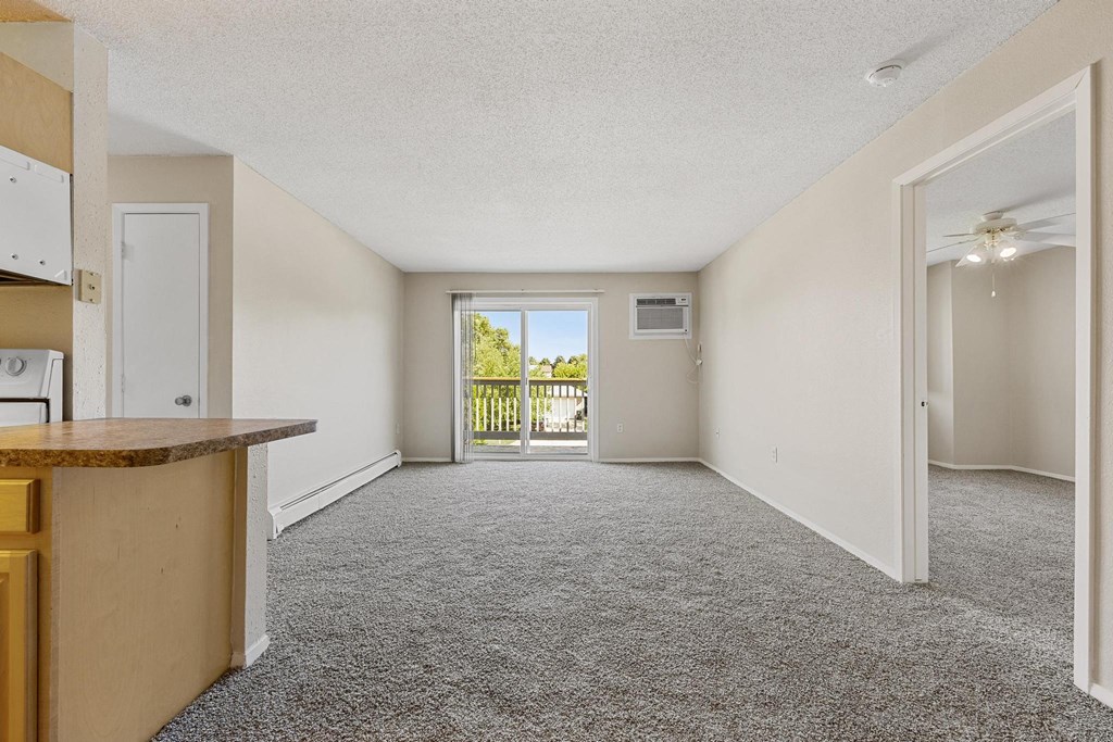 Spacious Living Area with Carpet