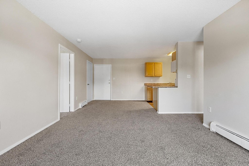 Spacious Living Area with Carpet