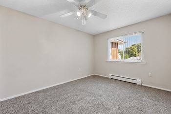 Bedroom with Plush Carpeting