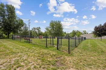 Dog Park