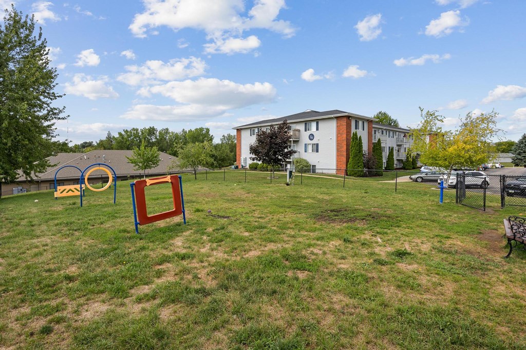 Dog Park with Equipment