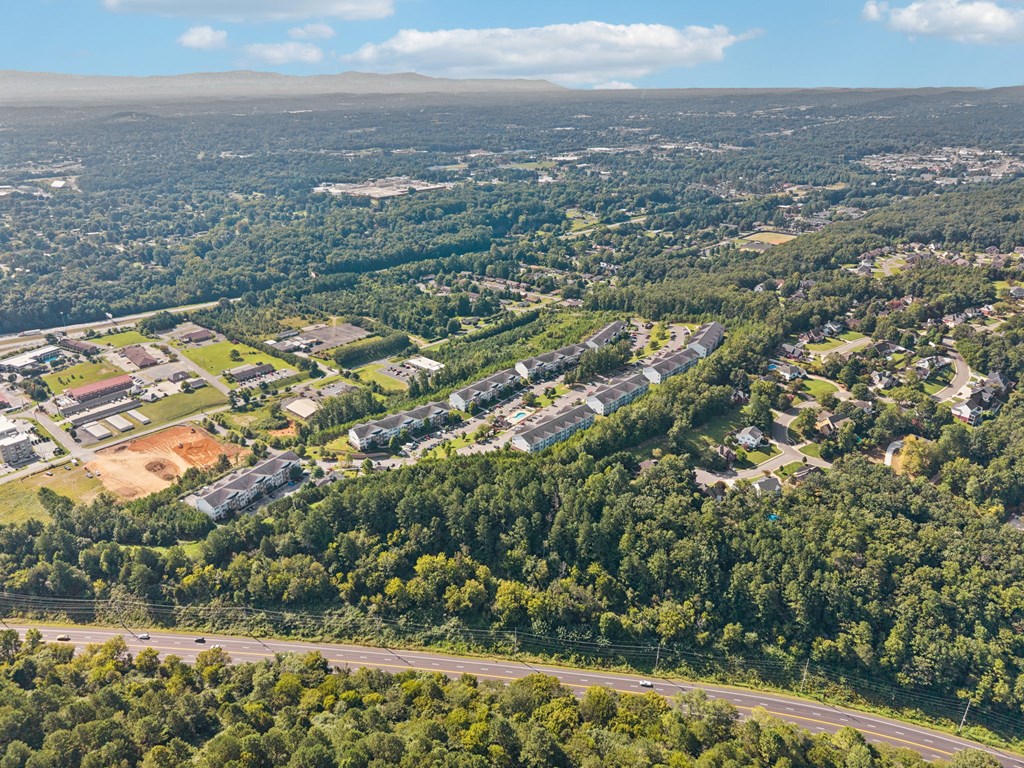 A bird's eye view of a residential area surrounded by trees.