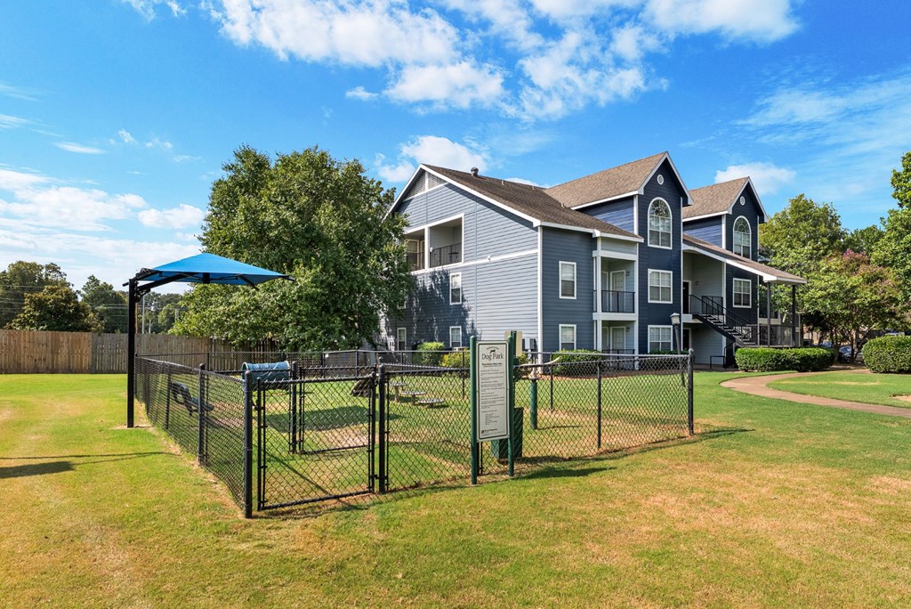 Dog Park with Equipment
