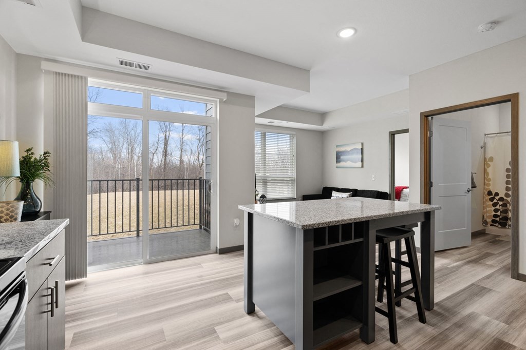 Spacious Living Area With Wood-Style Flooring