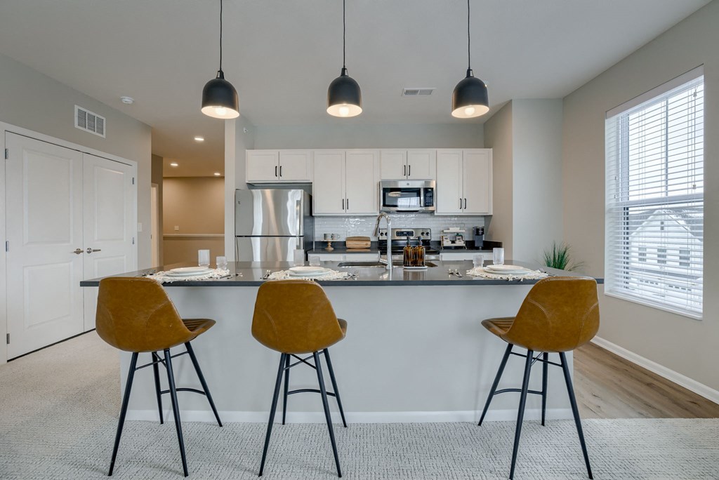 Kitchen with Premium Fixtures and Finishes