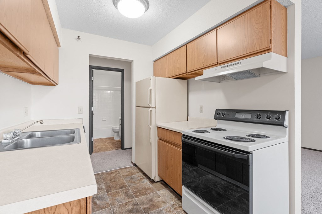 Kitchen with Wood Cabinets