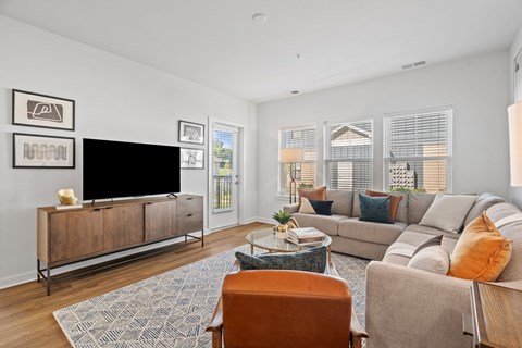 Spacious Living Area With Wood-Style Flooring