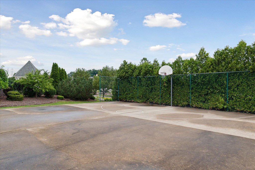 Basketball Courts