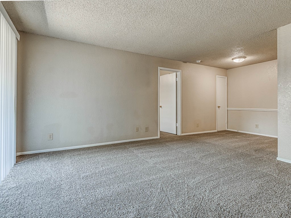 Living Area with Carpet