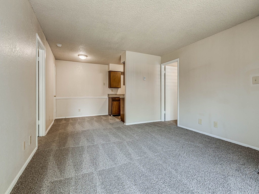 Spacious Living Area with Carpet