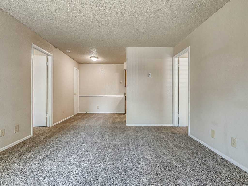 Living Area with Carpet