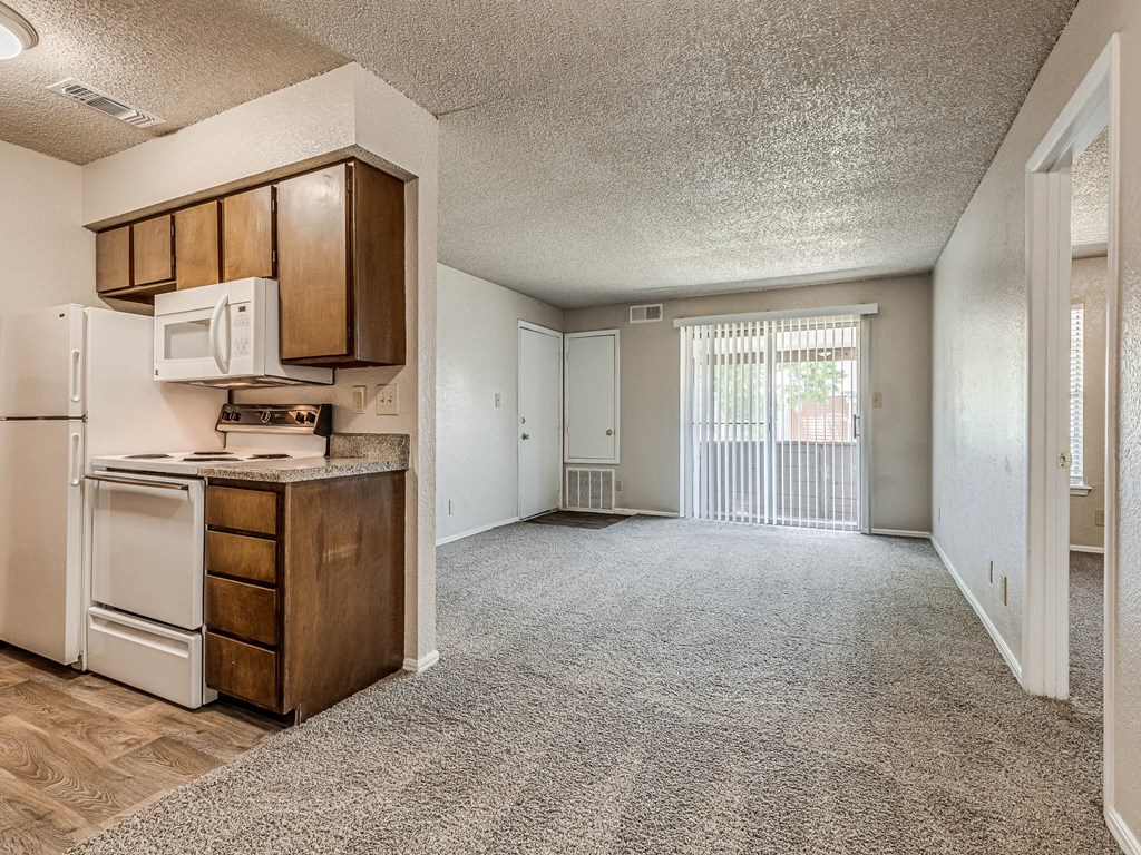 Spacious Living Area with Carpet