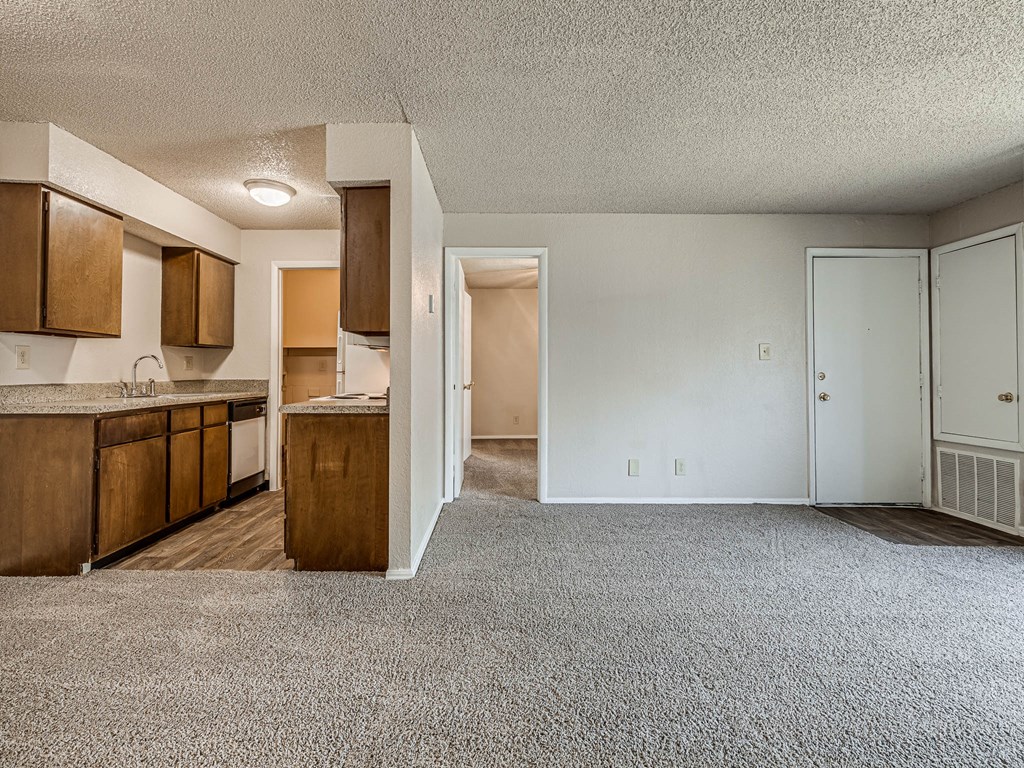 Spacious Living Area with Carpet