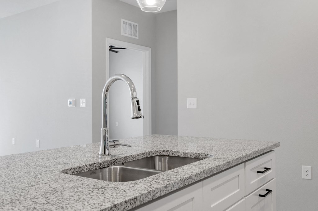 Kitchen with Premium Fixtures and Finishes