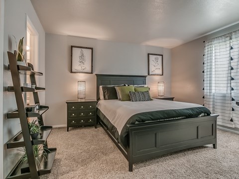 Bedroom With Plush Carpeting