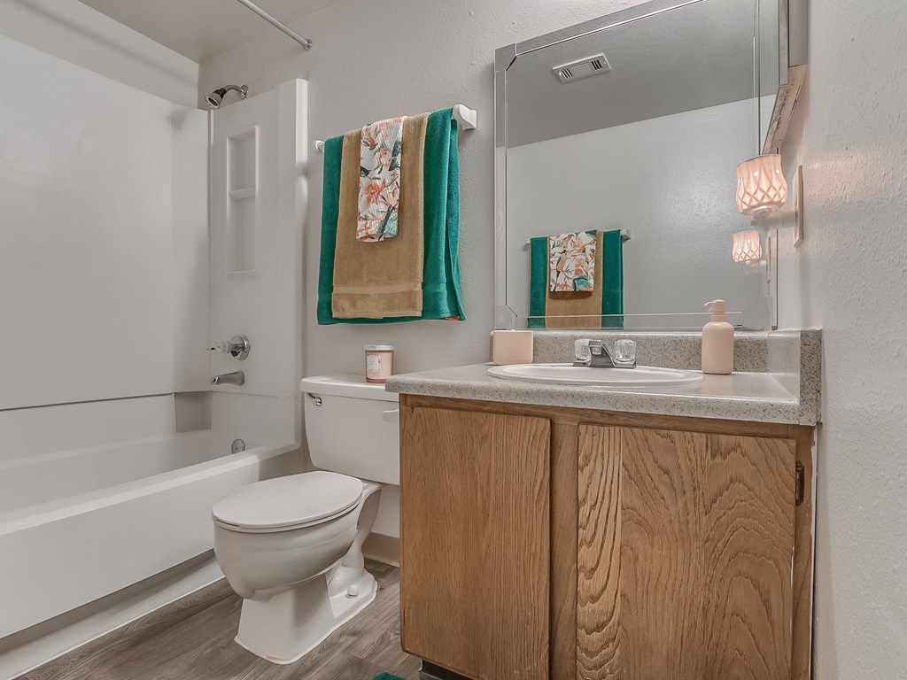 Bathroom With Vanity & Shower With Tub