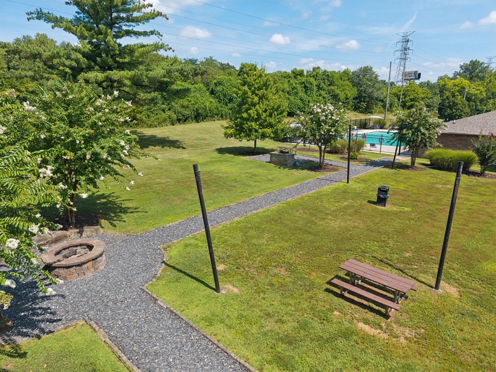 Firepit and Picnic Area