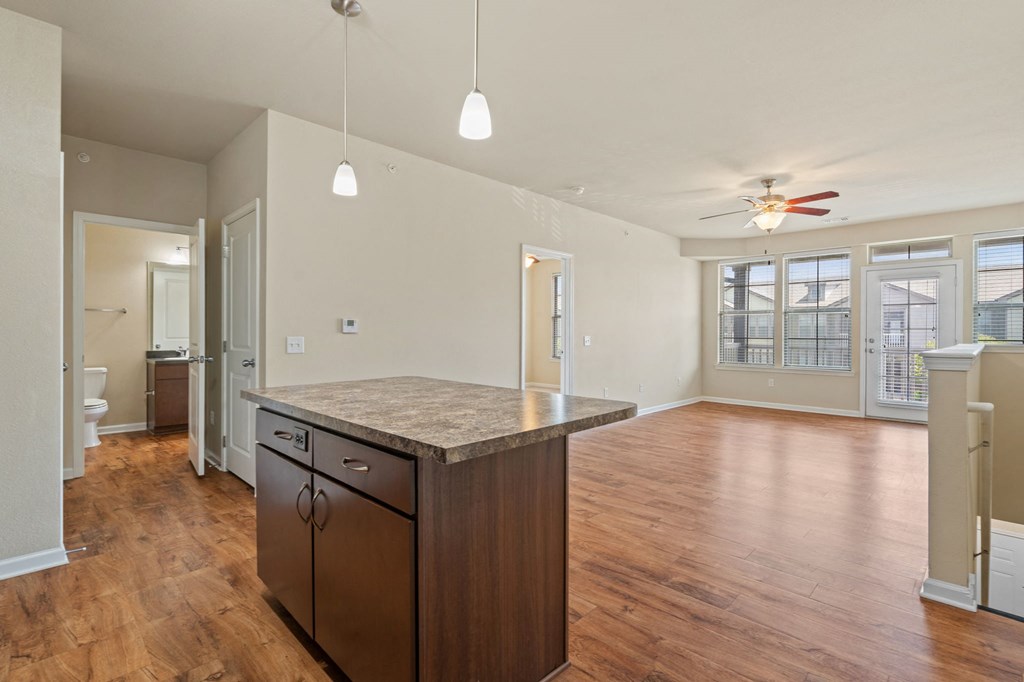 Spacious Living Area With Wood-Style Flooring