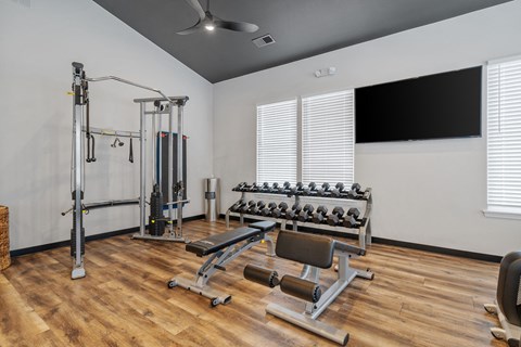 Fitness Center with Weights